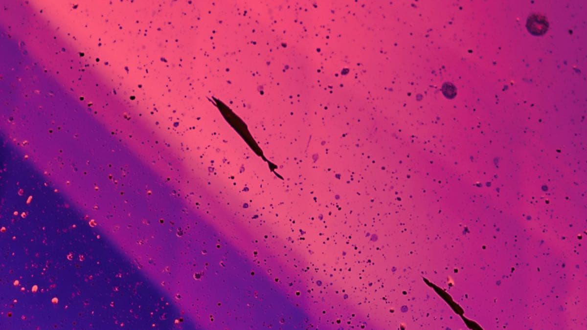 The Rise of the Full Stack Builder